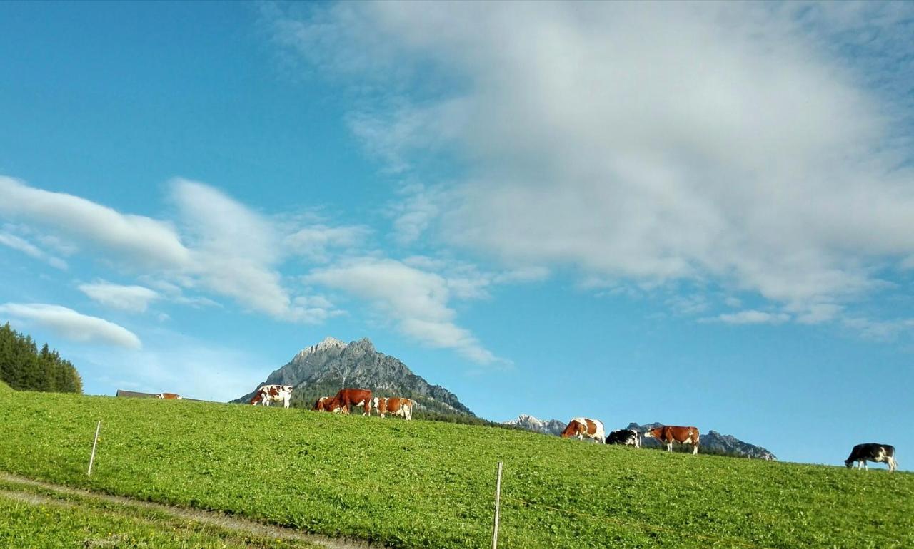 Apartmán Lue De Terza San Vigilio Di Marebbe Exteriér fotografie